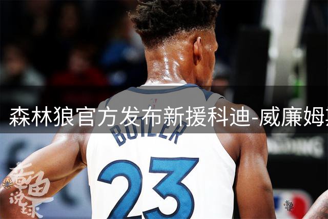 森林狼官方发布新援科迪-威廉姆斯加盟海报