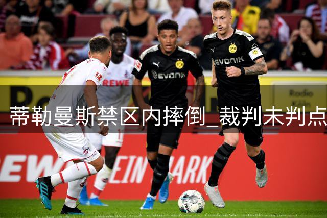 蒂勒曼斯禁区内摔倒 裁判未判点球引发争议